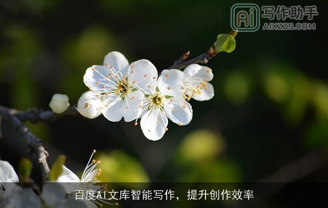 百度AI文库智能写作,提升创作效率 百度AI文库智能写作,提升创作效率