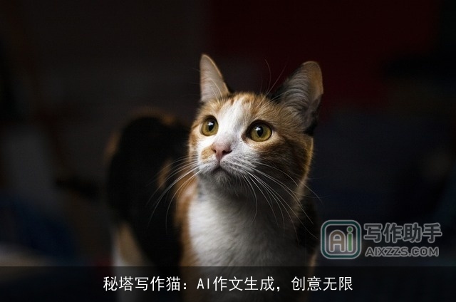 秘塔写作猫:AI作文生成,创意无限 秘塔写作猫:AI作文生成,创意无限