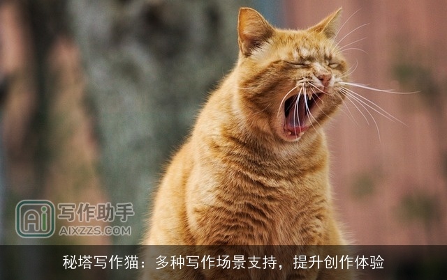 秘塔写作猫:多种写作场景支持,提升创作体验 秘塔写作猫:多种写作场景支持,提升创作体验