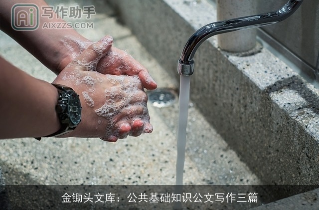 金锄头文库:公共基础知识公文写作三篇 金锄头文库:公共基础知识公文写作三篇