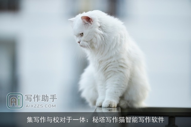 集写作与校对于一体:秘塔写作猫智能写作软件 集写作与校对于一体:秘塔写作猫智能写作软件