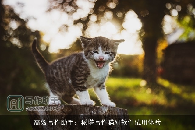 高效写作助手:秘塔写作猫AI软件试用体验 高效写作助手:秘塔写作猫AI软件试用体验