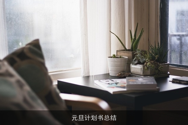 元旦计划书总结 元旦计划书总结