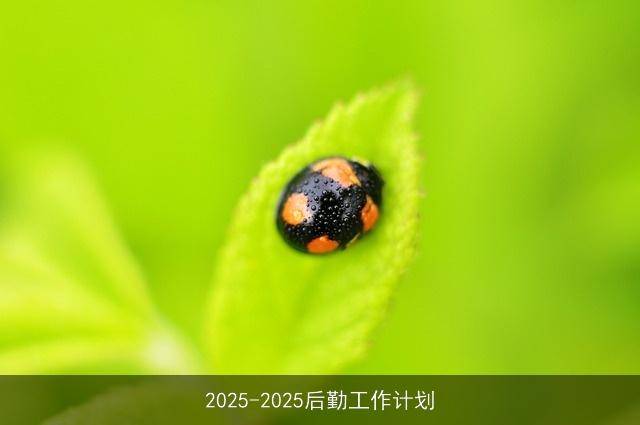 2025-2025后勤工作计划 2025-2025后勤工作计划