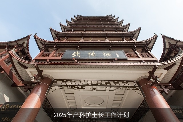 2025年产科护士长工作计划 2025年产科护士长工作计划