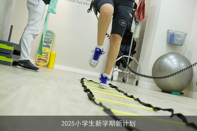 2025小学生新学期新计划 2025小学生新学期新计划