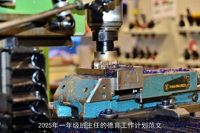 2025年一年级班主任的德育工作计划范文 2025年一年级班主任的德育工作计划范文