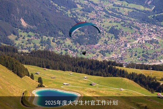 2025年度大学生村官工作计划 2025年度大学生村官工作计划