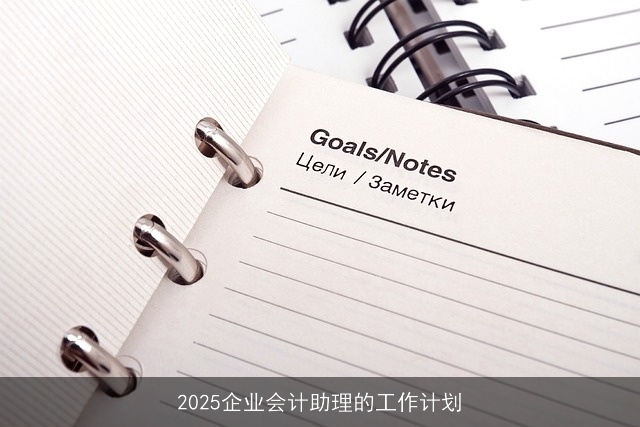 2025企业会计助理的工作计划 2025企业会计助理的工作计划