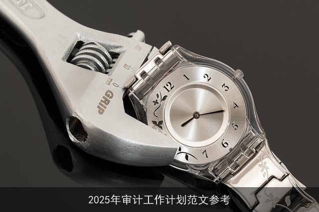 2025年审计工作计划范文参考 2025年审计工作计划范文参考