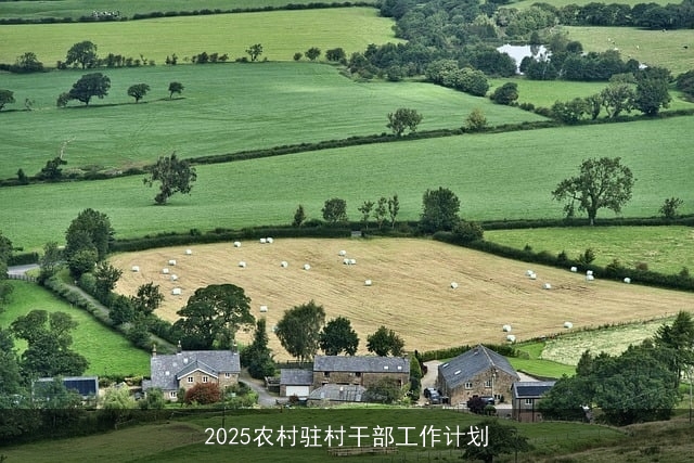 2025农村驻村干部工作计划 2025农村驻村干部工作计划