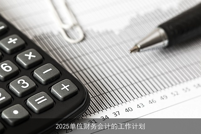 2025单位财务会计的工作计划 2025单位财务会计的工作计划