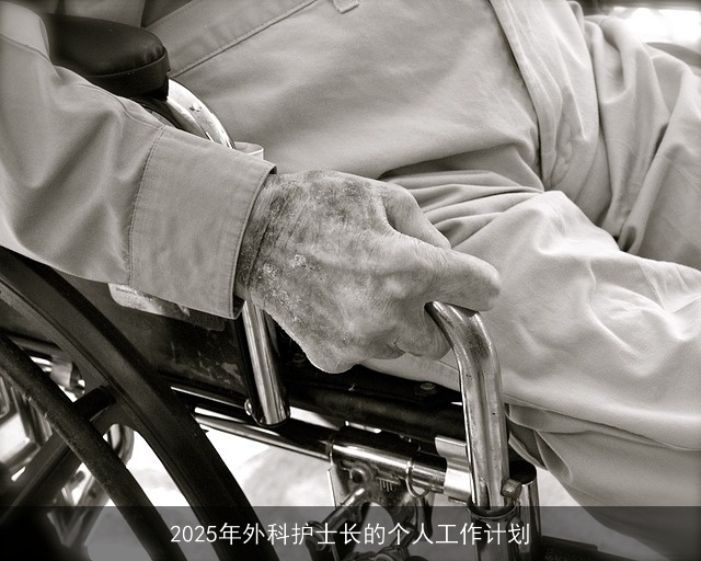 2025年外科护士长的个人工作计划 2025年外科护士长的个人工作计划