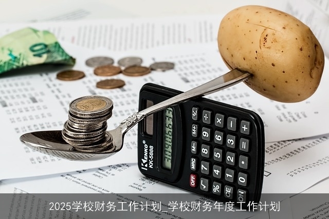 2025学校财务工作计划_学校财务年度工作计划 2025学校财务工作计划_学校财务年度工作计划