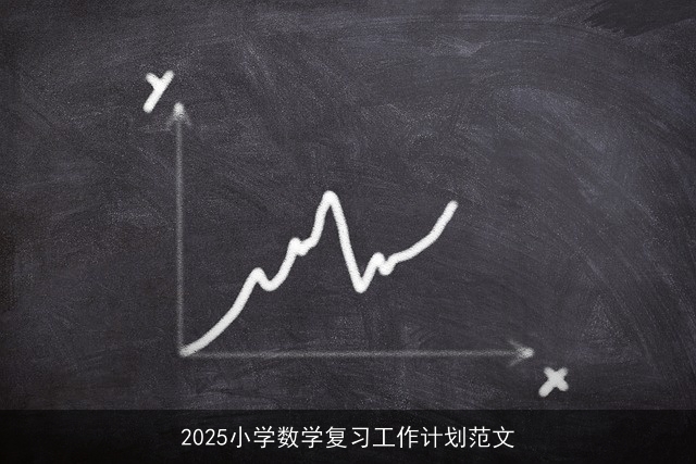 2025小学数学复习工作计划范文 2025小学数学复习工作计划范文