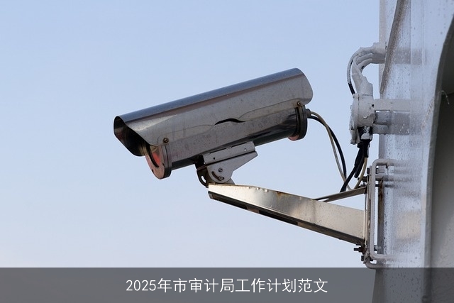 2025年市审计局工作计划范文 2025年市审计局工作计划范文