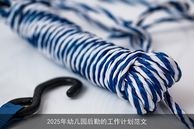 2025年幼儿园后勤的工作计划范文 2025年幼儿园后勤的工作计划范文