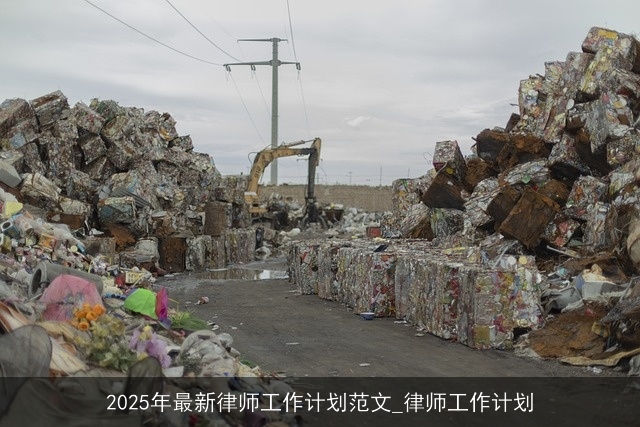 2025年最新律师工作计划范文_律师工作计划 2025年最新律师工作计划范文_律师工作计划