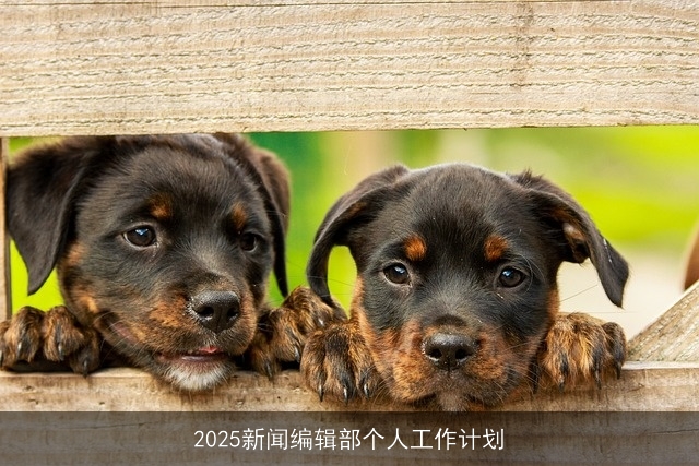 2025新闻编辑部个人工作计划 2025新闻编辑部个人工作计划