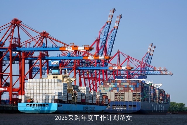 2025采购年度工作计划范文 2025采购年度工作计划范文
