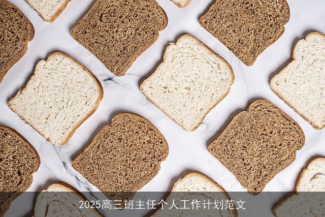 2025高三班主任个人工作计划范文 2025高三班主任个人工作计划范文