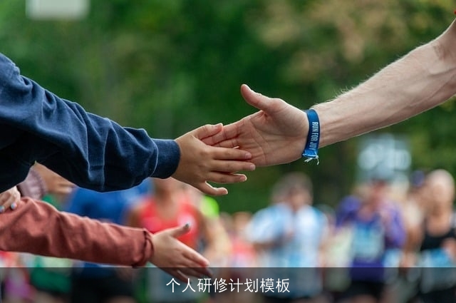 个人研修计划模板 个人研修计划模板