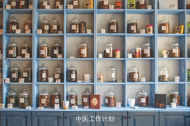中医工作计划 中医工作计划