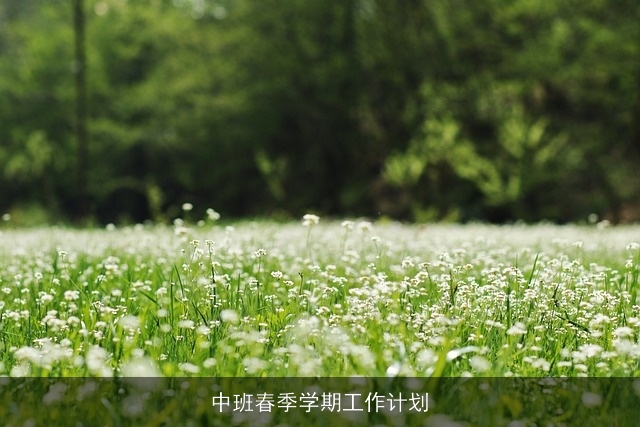 中班春季学期工作计划 中班春季学期工作计划