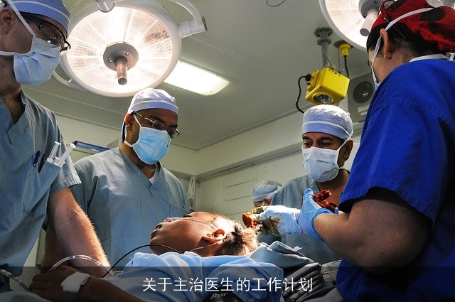 关于主治医生的工作计划 关于主治医生的工作计划