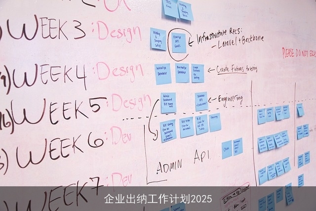 企业出纳工作计划2025 企业出纳工作计划2025