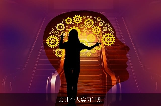 会计个人实习计划 会计个人实习计划