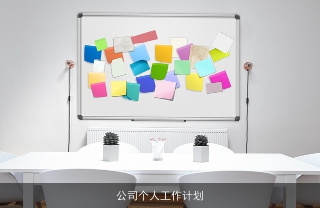 公司个人工作计划 公司个人工作计划