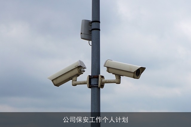 公司保安工作个人计划 公司保安工作个人计划