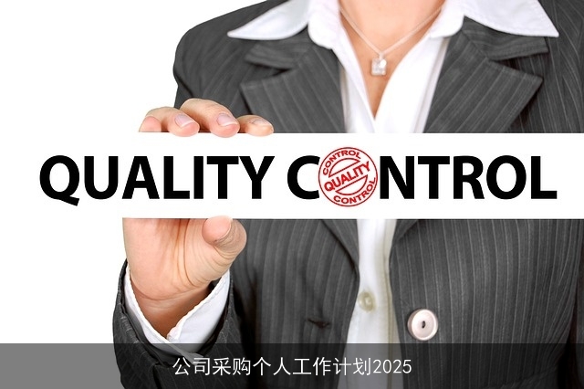公司采购个人工作计划2025 公司采购个人工作计划2025