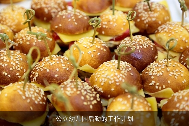 公立幼儿园后勤的工作计划 公立幼儿园后勤的工作计划