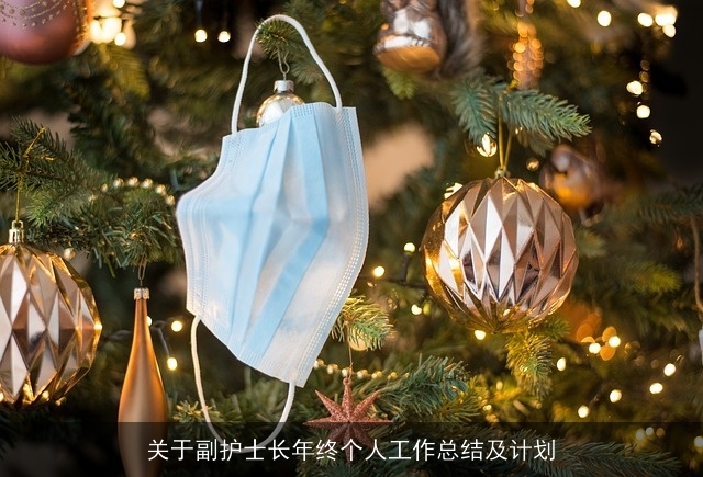 关于副护士长年终个人工作总结及计划 关于副护士长年终个人工作总结及计划