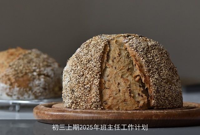 初三上期2025年班主任工作计划 初三上期2025年班主任工作计划