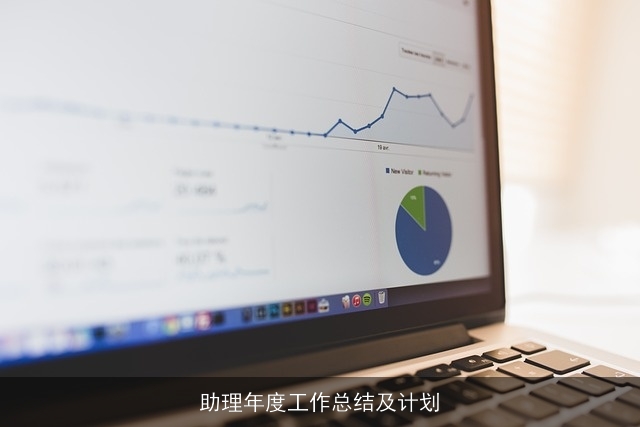 助理年度工作总结及计划 助理年度工作总结及计划