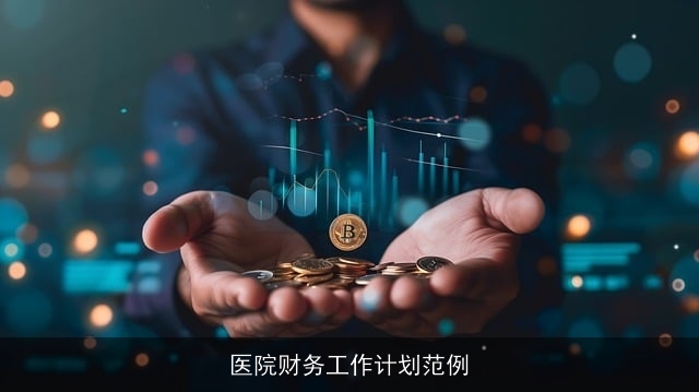 医院财务工作计划范例 医院财务工作计划范例