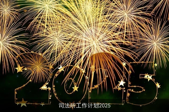 司法所工作计划2025 司法所工作计划2025