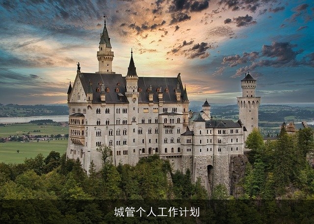 城管个人工作计划 城管个人工作计划