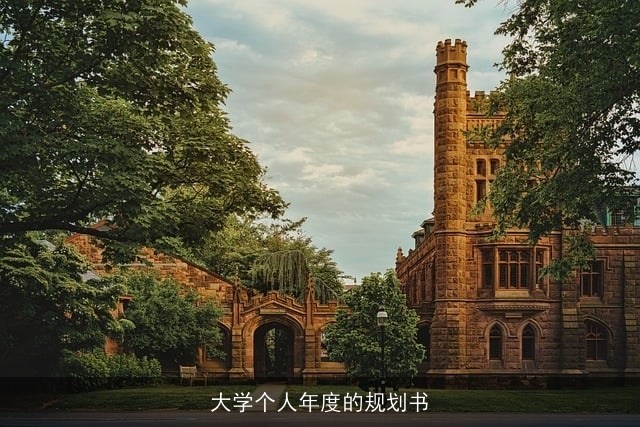 大学个人年度的规划书 大学个人年度的规划书