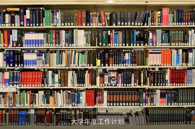 大学年度工作计划 大学年度工作计划