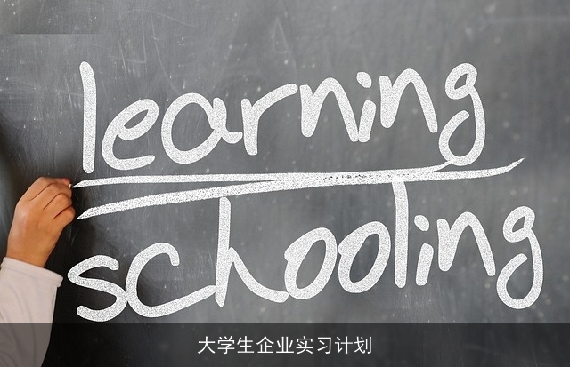 大学生企业实习计划 大学生企业实习计划