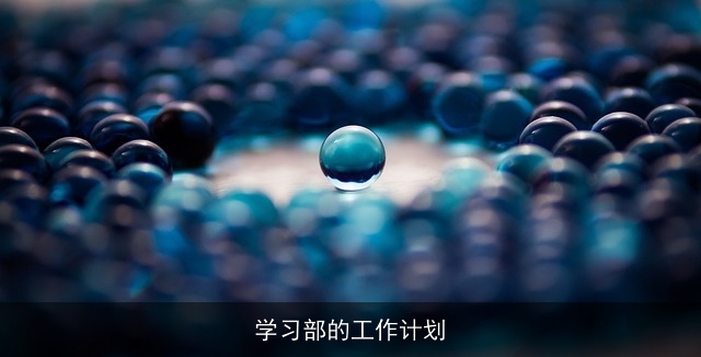 学习部的工作计划 学习部的工作计划