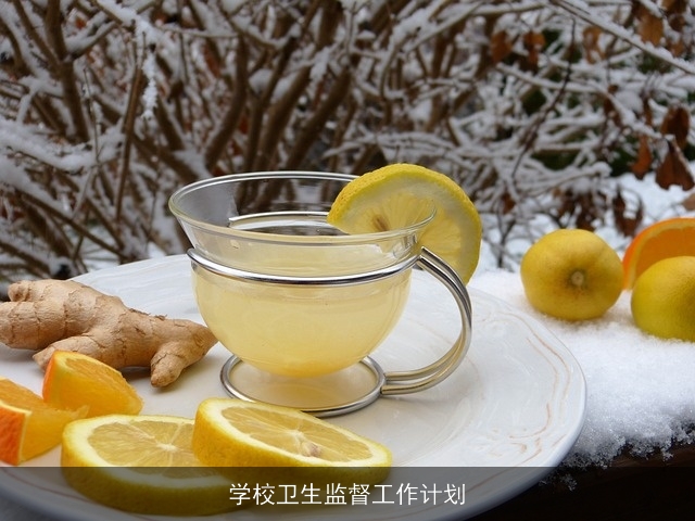 学校卫生监督工作计划 学校卫生监督工作计划