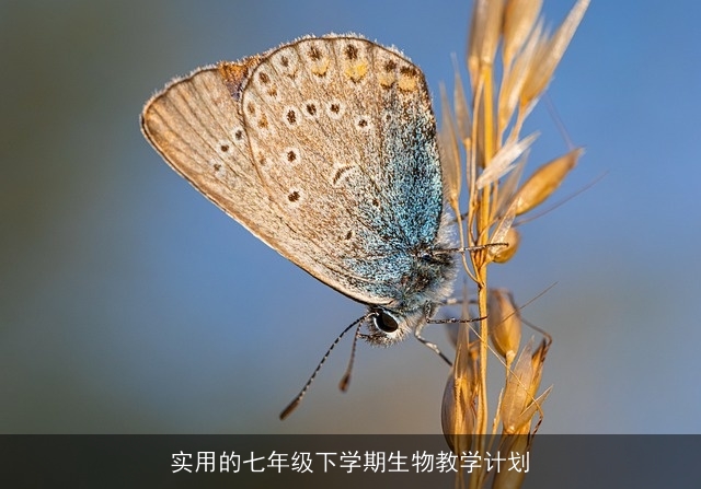 实用的七年级下学期生物教学计划 实用的七年级下学期生物教学计划