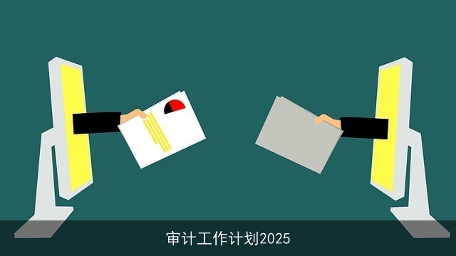 审计工作计划2025 审计工作计划2025