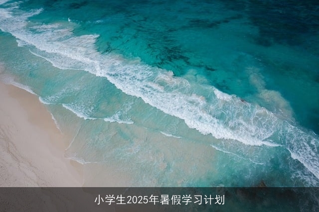 小学生2025年暑假学习计划 小学生2025年暑假学习计划