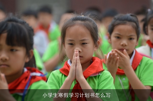 小学生寒假学习计划书怎么写 小学生寒假学习计划书怎么写